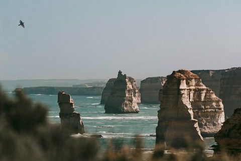 Half-Day Or Full-Day Tour With Private Guide From Melbourne - Sydney 4u 0