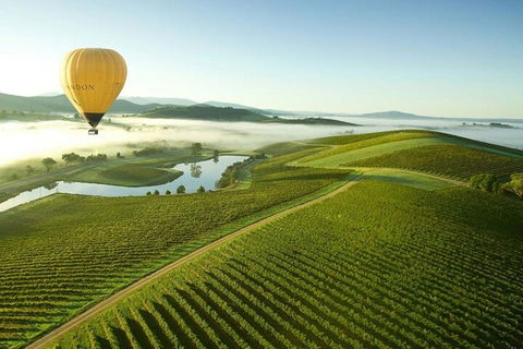 Half-Day Or Full-Day Tour With Private Guide From Melbourne - Sydney 4u 4