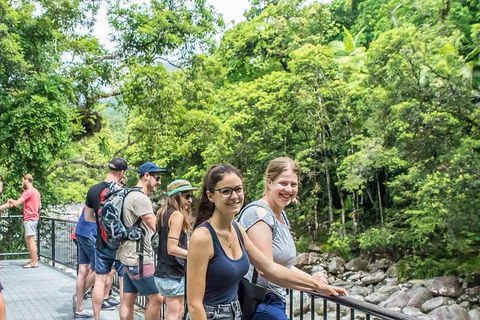 Cape Tribulation, Mossman Gorge, And Daintree Rainforest Day Trip From Cairns Or Port Douglas - Sydney 4u 0