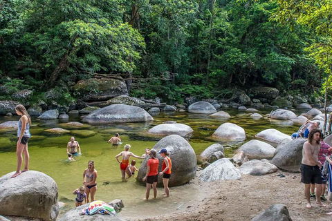 Cape Tribulation, Mossman Gorge, And Daintree Rainforest Day Trip From Cairns Or Port Douglas - Sydney 4u 1