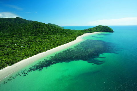 Cape Tribulation, Mossman Gorge, And Daintree Rainforest Day Trip From Cairns Or Port Douglas - Sydney 4u 2