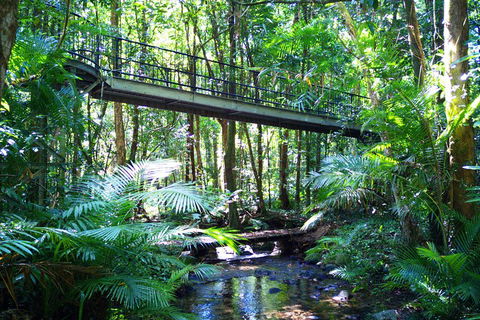 Cape Tribulation, Mossman Gorge, And Daintree Rainforest Day Trip From Cairns Or Port Douglas - Sydney 4u 3