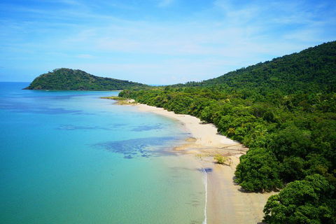 Cape Tribulation, Mossman Gorge, And Daintree Rainforest Day Trip From Cairns Or Port Douglas - Sydney 4u 5