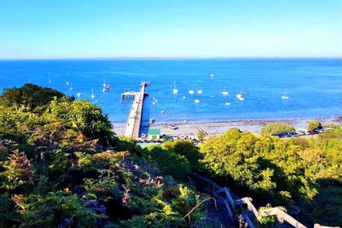 Mornington Peninsula Sightseeing Tour For 2-6 Guests. - Sydney 4u 1