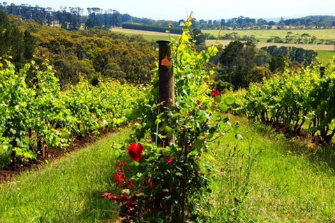 Mornington Peninsula Sightseeing Tour For 2-6 Guests. - Sydney 4u 3