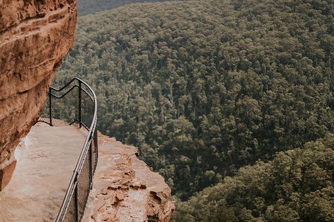 Private Blue Mountains And Wildlife Park Tour From Sydney With Barbecue Lunch - Accommodation Sydney 5