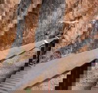 Chillagoe Caves and Outback Day Trip from Cairns - Sydney 4u