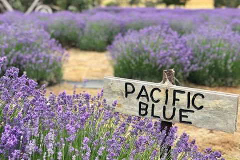 Kangaroo Island Food And Wine Hop-on Hop-off Tour - Accommodation Sydney 4