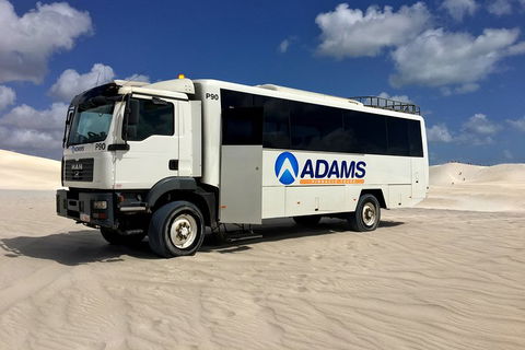 Pinnacles Desert, Koalas And Sandboarding 4WD Day Tour From Perth - Sydney 4u 2