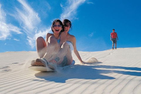 Pinnacles Desert, Koalas And Sandboarding 4WD Day Tour From Perth - Sydney 4u 3