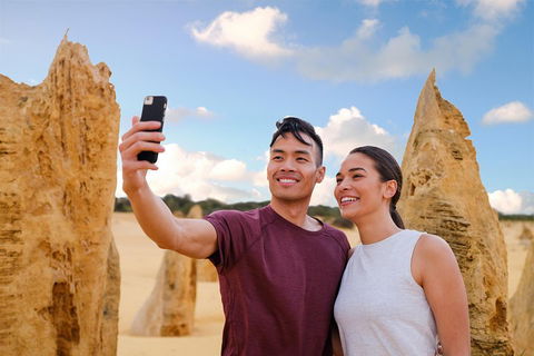 Pinnacles Desert, Koalas And Sandboarding 4WD Day Tour From Perth - Sydney 4u 4