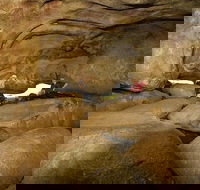 2-Day Wave Rock York Wildflowers  Aboriginal Experience - Sydney 4u