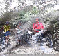 2 Hour Bike Tour in Kangaroo Island - Sydney 4u