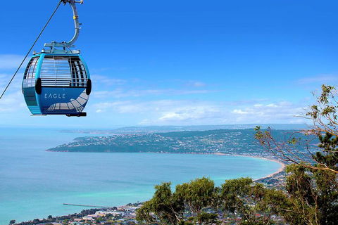 Mornington Peninsula Small Group Day Tour - Sydney 4u 2