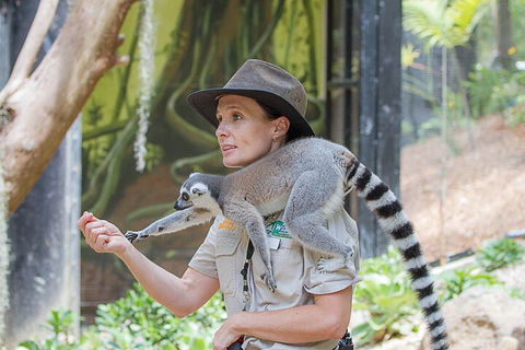 Currumbin Wildlife Sanctuary General Entry Ticket - Sydney 4u 1