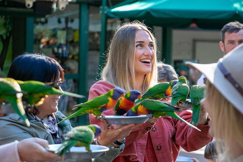Currumbin Wildlife Sanctuary General Entry Ticket - Sydney 4u 3