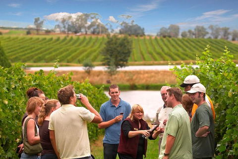 Yarra Valley Wine And Winery Tour From Melbourne - Accommodation Sydney 0