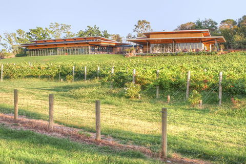 Yarra Valley Wine And Winery Tour From Melbourne - Accommodation Sydney 1