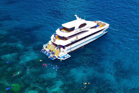 Great Barrier Reef Snorkeling And Diving Cruise From Cairns - Sydney 4u 5