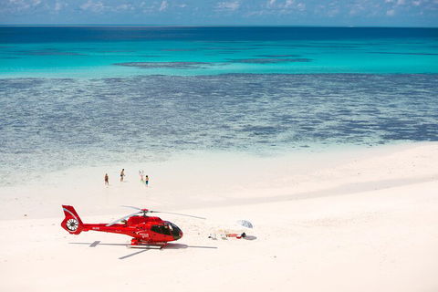 Private Helicopter Tour: Reef Island Snorkeling And Gourmet Picnic Lunch - Sydney 4u 2