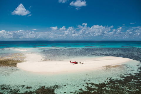 Private Helicopter Tour: Reef Island Snorkeling And Gourmet Picnic Lunch - Sydney 4u 4
