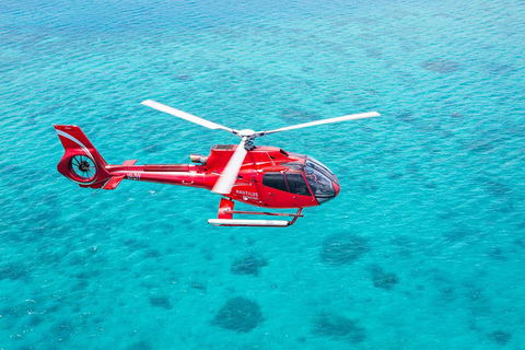 Cruise To Moore Reef Pontoon And Return Helicopter Flight From Cairns - Sydney 4u 1