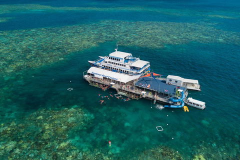 Cruise To Moore Reef Pontoon And Return Helicopter Flight From Cairns - Sydney 4u 2