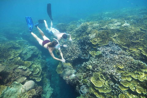 Cruise To Moore Reef Pontoon And Return Helicopter Flight From Cairns - Sydney 4u 3