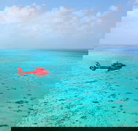 Port Douglas Scenic Flights - Sydney 4u