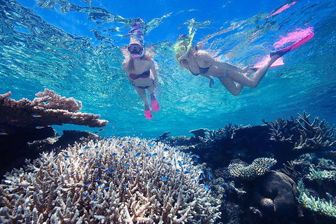 Cruise Out And Cruise Return, Plus 10 Minute Scenic Flight - Sydney 4u 5
