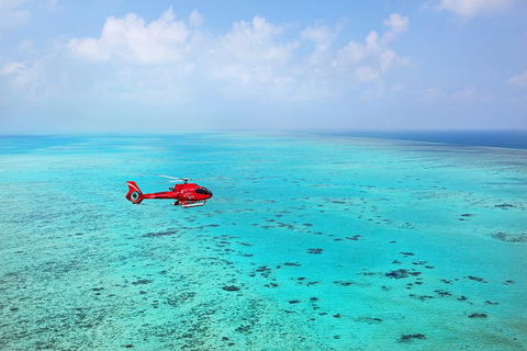 Port Douglas - Cruise And 10 Minute Scenic Flight - Sydney 4u 1