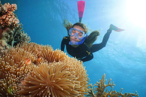 Port Douglas - Cruise And 10 Minute Scenic Flight - Sydney 4u 3