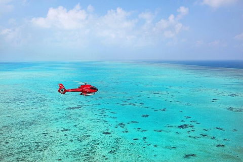 Ultimate Great Barrier Reef And Rainforest 45-minute Helicopter Tour - Sydney 4u 2