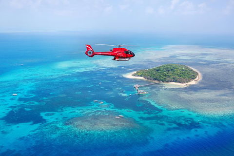 Ultimate Great Barrier Reef And Rainforest 45-minute Helicopter Tour - Sydney 4u 4