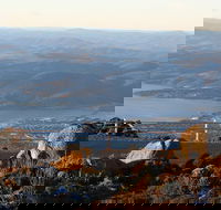 Mt. Wellington Bonorong and Richmond Day Tour from Hobart - Sydney 4u