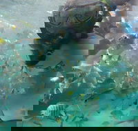 2-Day Moreton Island 4WD Camping Tour from Brisbane - Accommodation Sydney