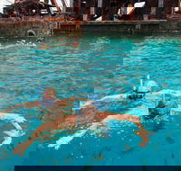 Moreton Island Snorkel and Sandboarding 4WD Day Trip from Brisbane - Accommodation Sydney