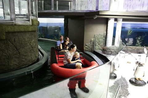 Sydney Attractions Pass: SEA LIFE Aquarium, Sydney Tower Eye, WILD LIFE Zoo And Madame Tussauds - Sydney 4u 0