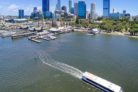Summer Lunch Cruise - Accommodation Sydney 2