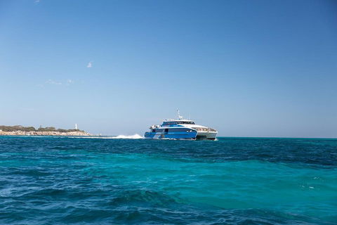 Rottnest Island Bike & Ferry Package From Perth - Accommodation Sydney 2