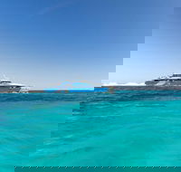 Rottnest Island Bayseeker Day Trip from Perth - Sydney 4u