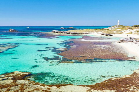 Rottnest Island Bayseeker Day Trip From Perth - Accommodation Sydney 4