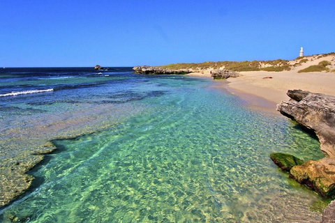 Rottnest Island Bayseeker Day Trip From Perth - Accommodation Sydney 5