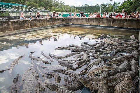 Hartley's Crocodile Adventures Day Trip From Cairns - Sydney 4u 0