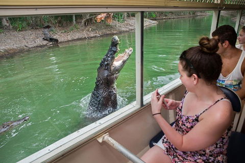 Hartley's Crocodile Adventures Day Trip From Cairns - Sydney 4u 3