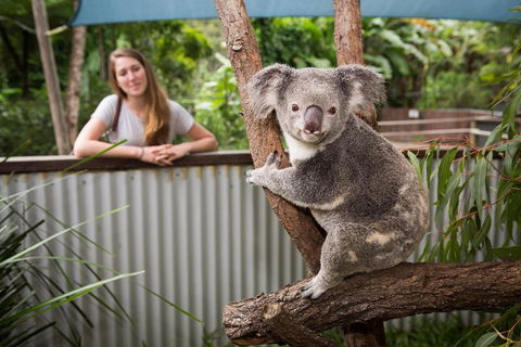 Hartley's Crocodile Adventures Day Trip From Cairns - Sydney 4u 5