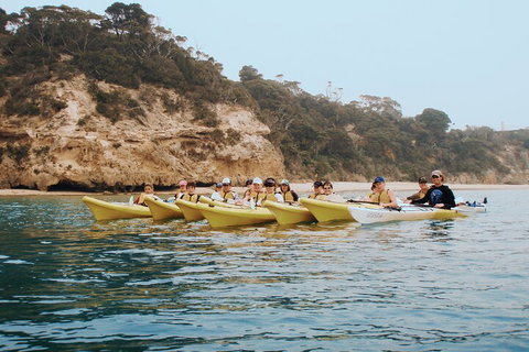 Mornington Peninsula Kayak Coastline Tour Of Dolphin Sanctuary - Sydney Resort 4