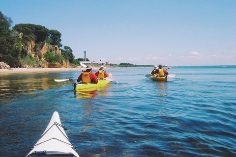 Mornington Peninsula Kayak Coastline Tour Of Dolphin Sanctuary - Sydney Resort 5