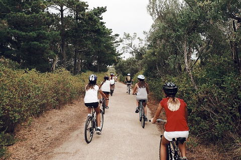 Self-Guided Point Nepean National Park Bike Hire - Sydney 4u 3