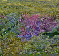 Litchfield Park  Daly River - Scenic Flight From Darwin - Sydney 4u